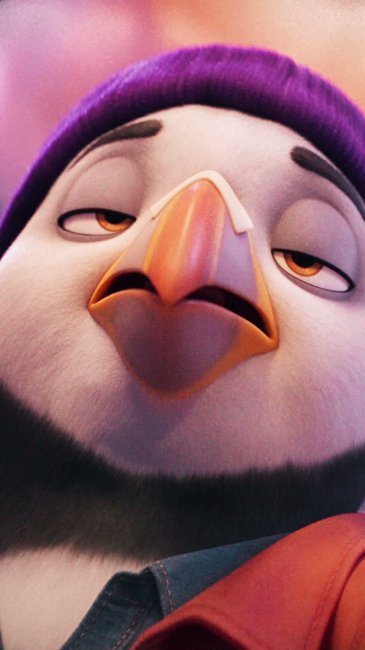 Close-up of Puffin against a pink sky